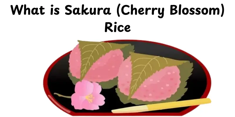What is Sakura Rice