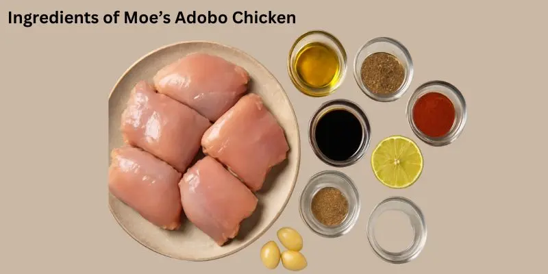 ingredients-of-moes-adobo-chicken